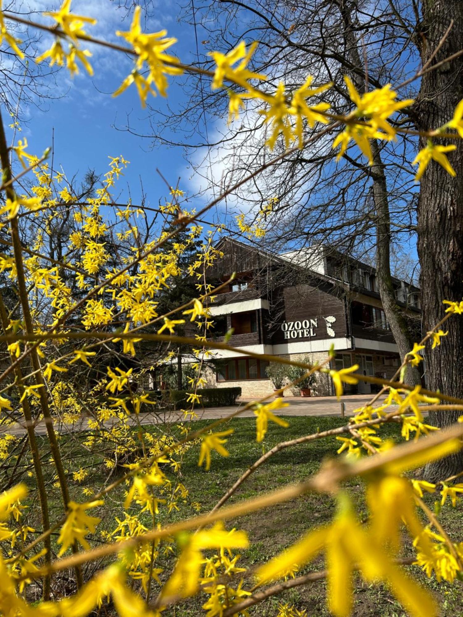 Ozoon Hotel Nyíregyháza エクステリア 写真